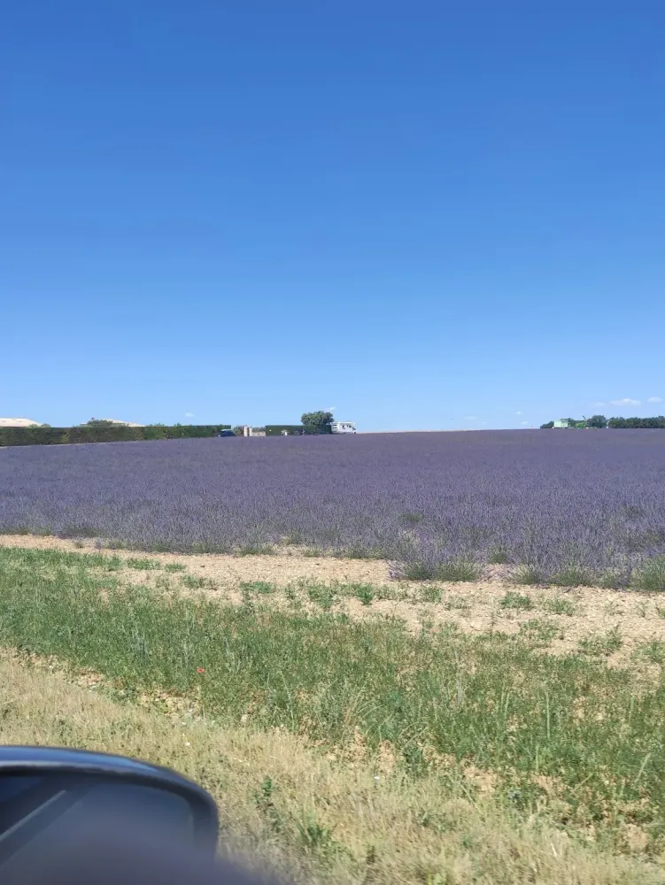 visites-guidees (2)
