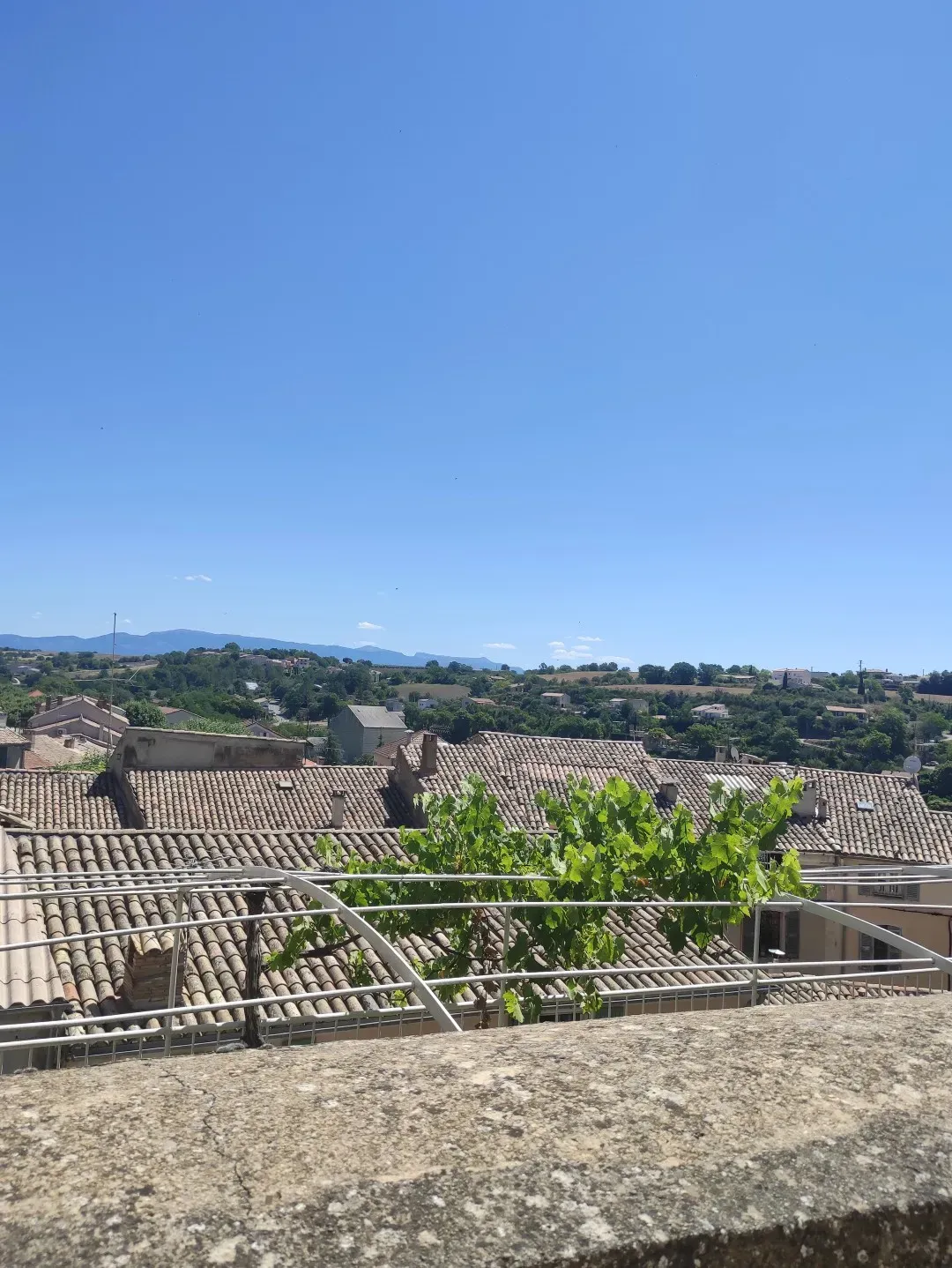 visites-guidees (3)