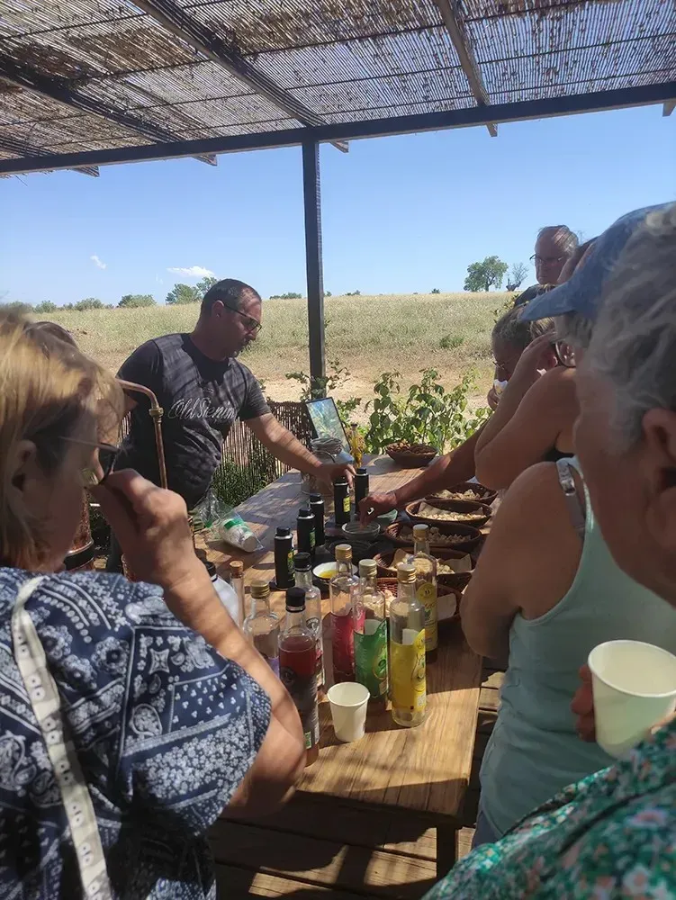 visites-guidees (8)