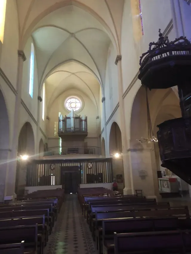 visites-guidees (12)